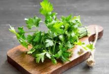 beneficios da salsa para a saude erva aromatica