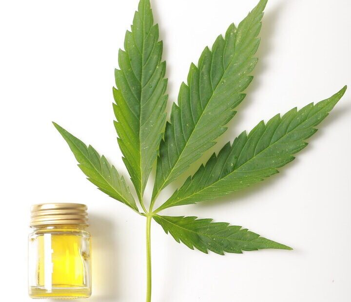 Óleo de CBD em Portugal em Vários Artigos Óleo de CBD em Portugal