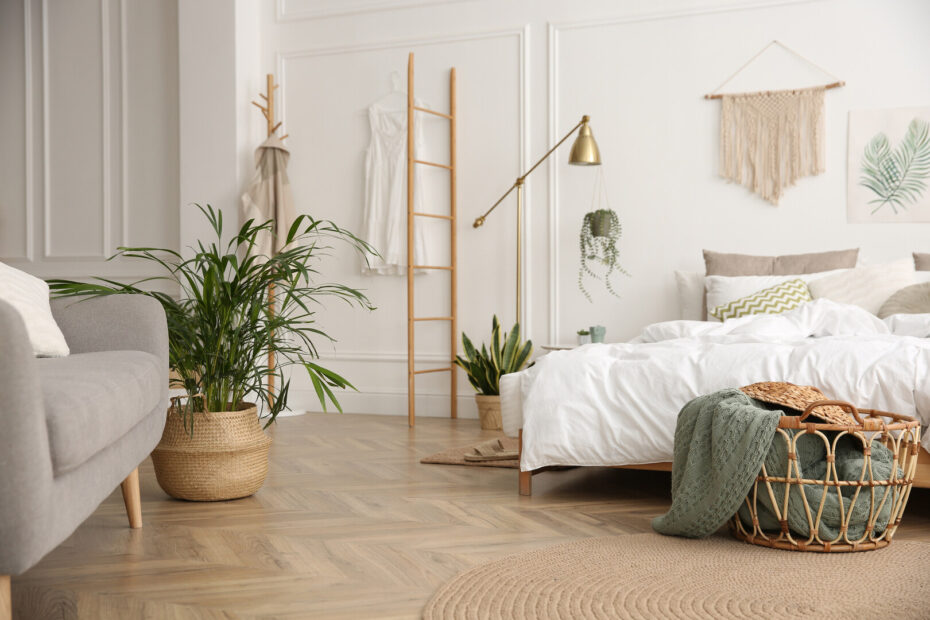 Plantas no Quarto: Benefícios, Desvantagens e Considerações a Ter em Conta