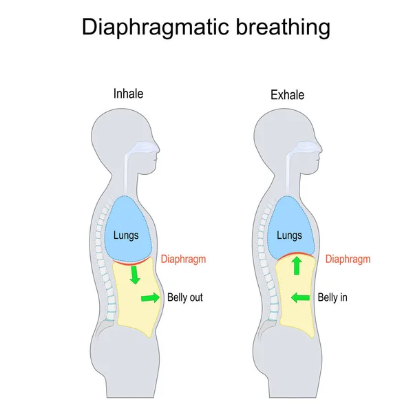 Técnicas de respiração para equilíbrio emocional